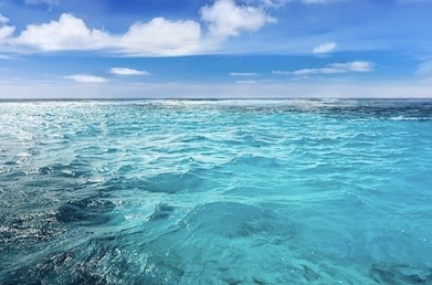 Solitude by Stella - Illustrated by Stella Munteanu - Ourboox.com