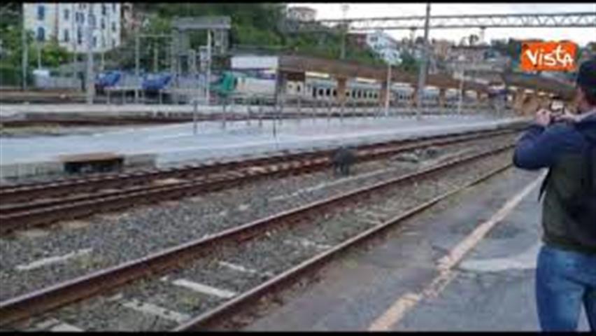 LA SCUOLA SENZ’ AULA. by patrizia - Illustrated by SARA AHLI - Ourboox.com