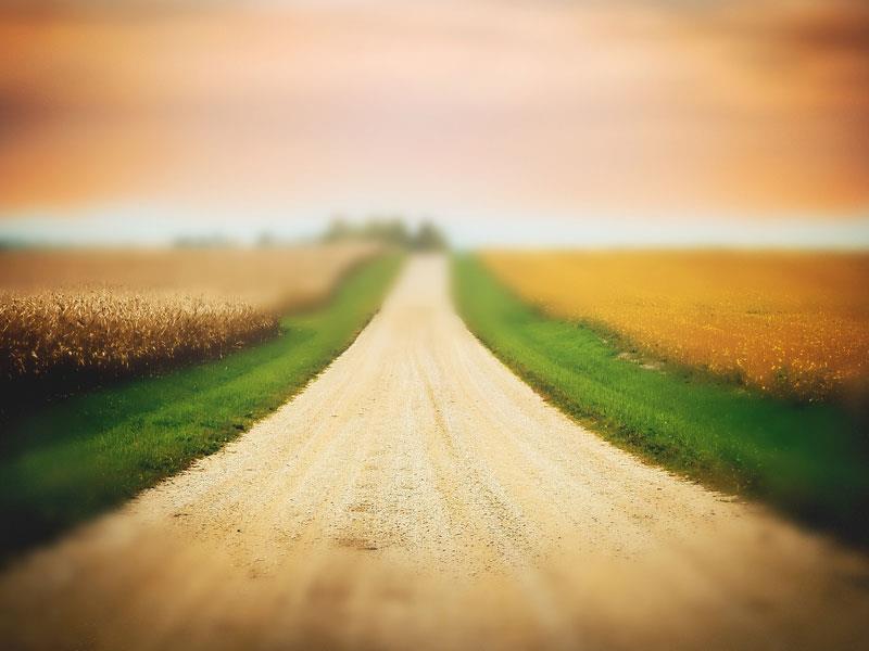 היומן הראשון שלי בבית הספר by assaf cohen nov - Illustrated by אסף כהן נוב - Ourboox.com