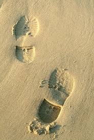 היומן הראשון שלי בבית הספר by assaf cohen nov - Illustrated by אסף כהן נוב - Ourboox.com