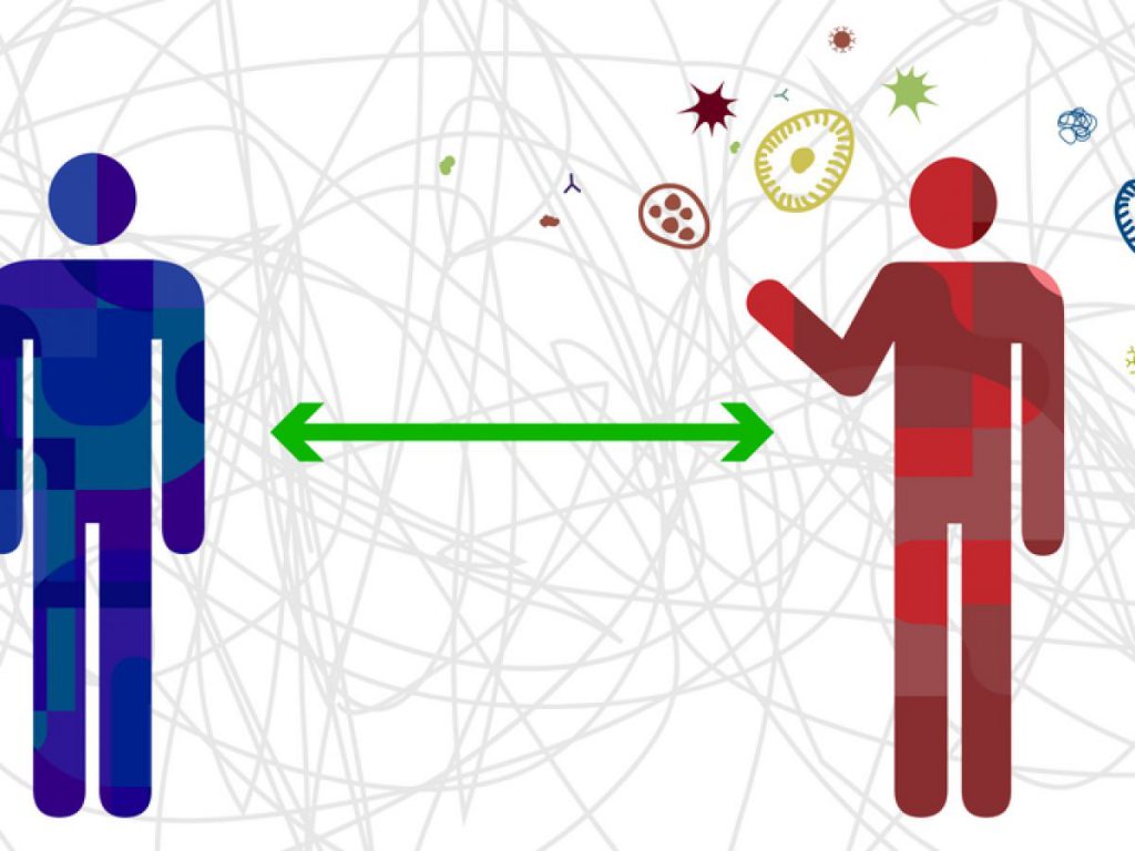 Novella sul Corona Virus by Tommaso Senzamici - Ourboox.com