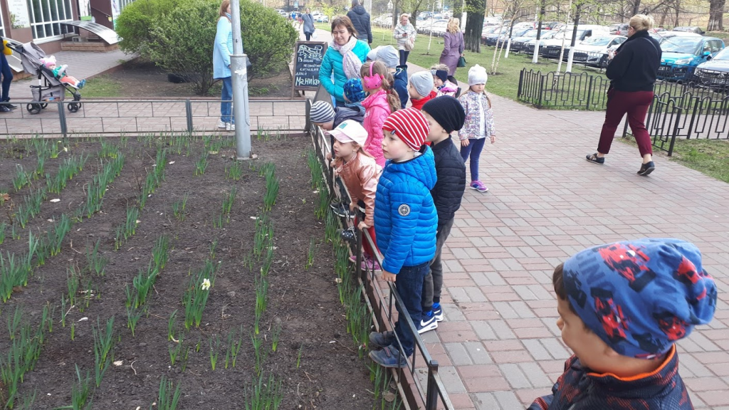 Екскурсія “Спостереження за пробудженням рослин