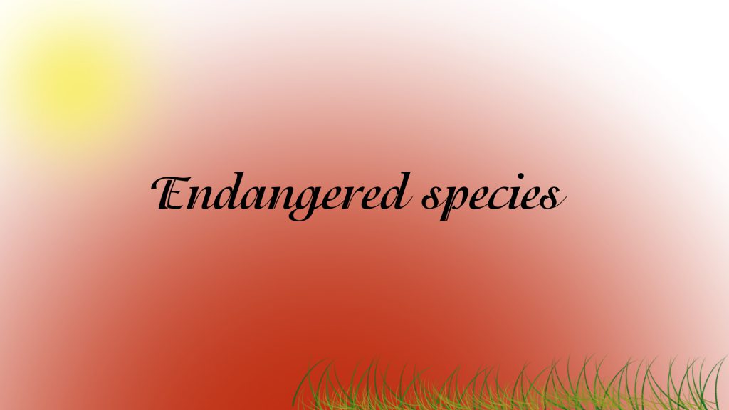 ENDANGERED SPECIES by Svetlana Lesinska - Ourboox.com
