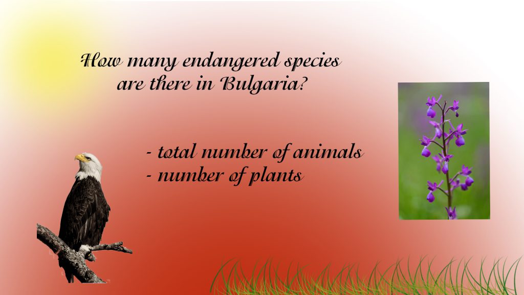 ENDANGERED SPECIES by Svetlana Lesinska - Ourboox.com