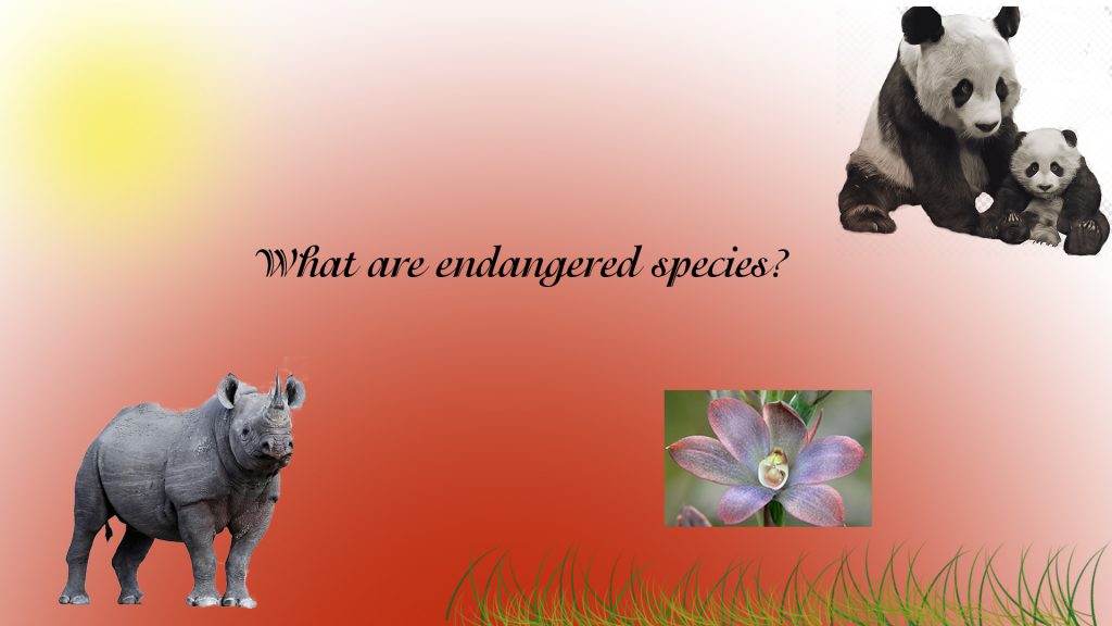 ENDANGERED SPECIES by Svetlana Lesinska - Ourboox.com