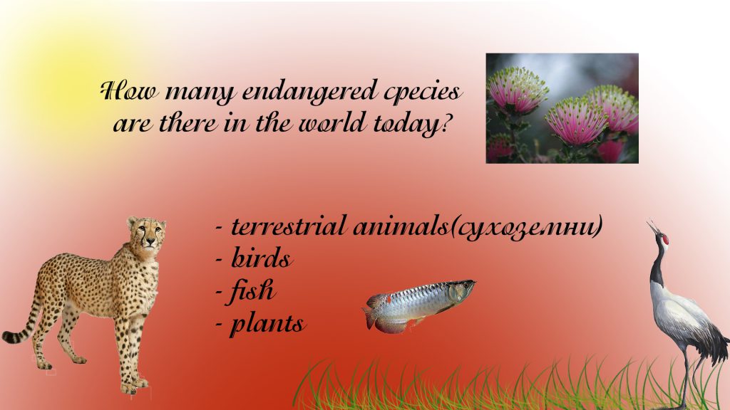 ENDANGERED SPECIES by Svetlana Lesinska - Ourboox.com