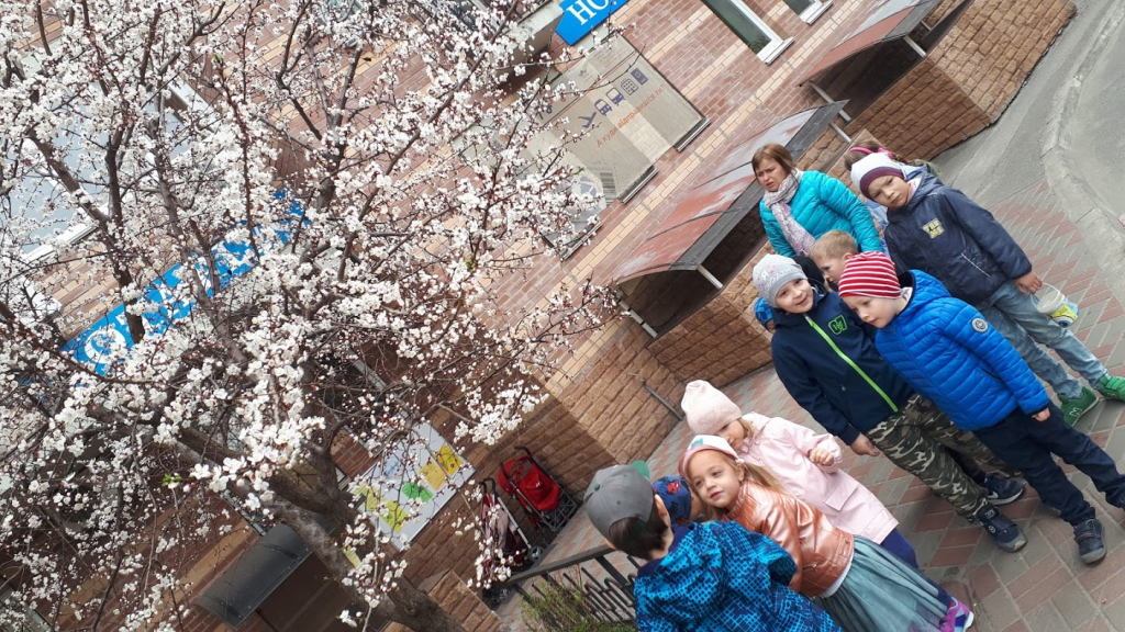 Стимульні матеріали до проекту Квіти України by Bykovska Svitlana - Ourboox.com