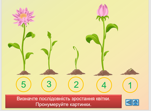 Стимульні матеріали до проекту Квіти України by Bykovska Svitlana - Ourboox.com