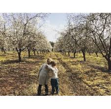 אהבת אחים by ateret - Ourboox.com