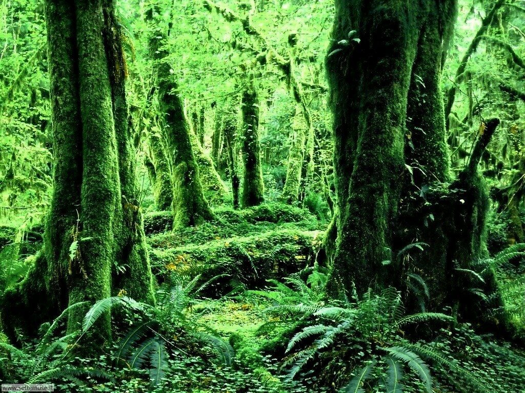 Prova prof by Katia Montabone - Ourboox.com