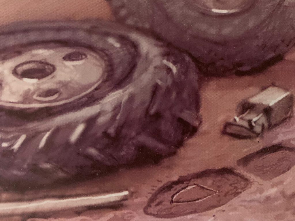 Book report – “A Safari Mystery” (by – Micky Jenkins) by maayan gazit - Illustrated by Maayan Gazit - 8C - Ourboox.com