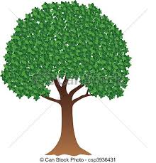 צבעים כשם תואר במשפט by maha - Ourboox.com