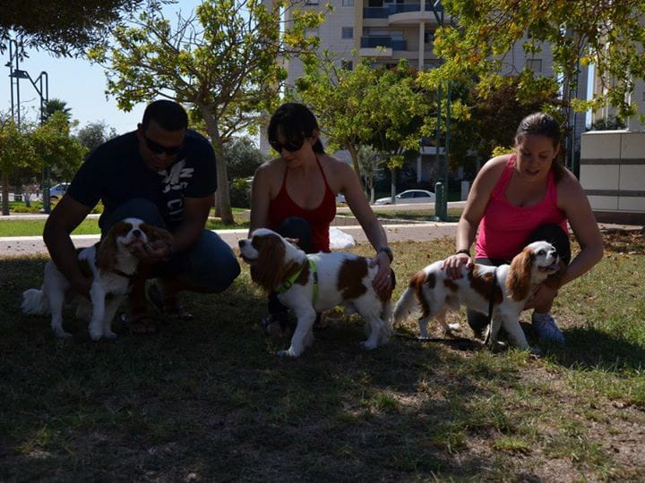 זיווג משמיים , הקופידונים הפרטיים שלנו by shirantosh - Ourboox.com