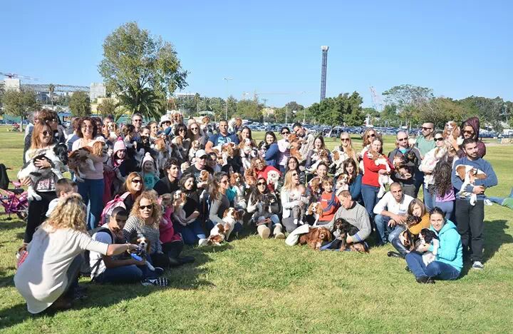 זיווג משמיים , הקופידונים הפרטיים שלנו by shirantosh - Ourboox.com