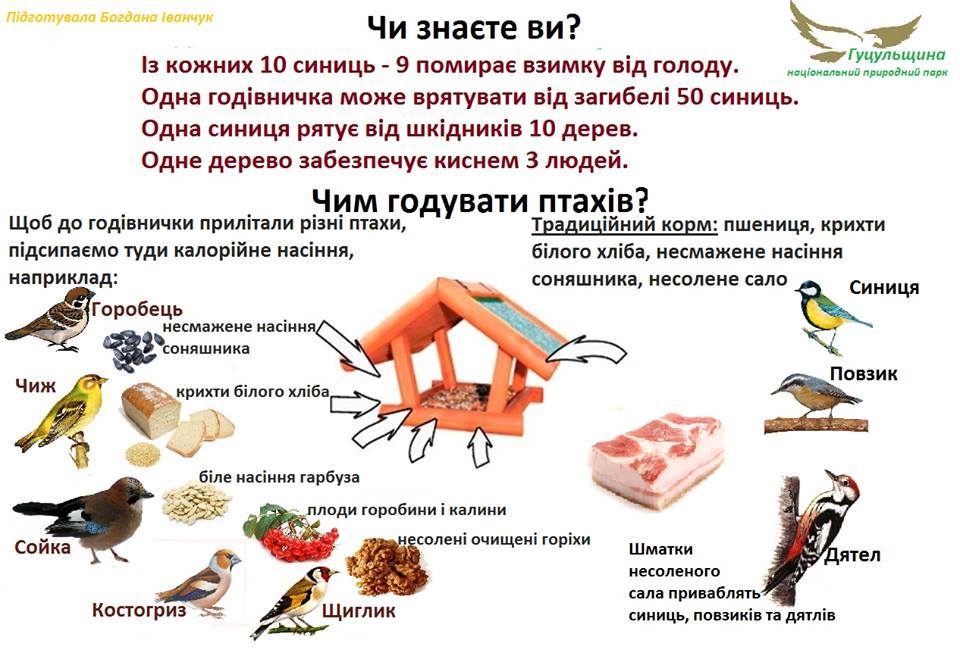 Методичний посібник “Добридень, пташко!” by Alena Katsovets - Ourboox.com