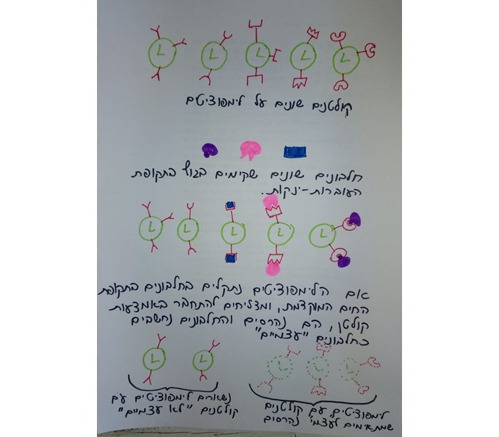 מערכת החיסון הייחודית by ‪Nurit Targan‬‏ - Ourboox.com