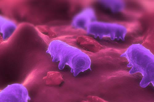 Bakteriler Alemi by Zeynep eker - Ourboox.com