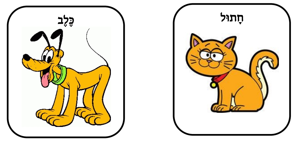 בעלי חיים by ahmad raya - Illustrated by Raya Ahmad - Ourboox.com