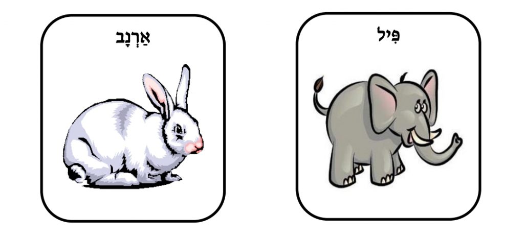 בעלי חיים by ahmad raya - Illustrated by Raya Ahmad - Ourboox.com