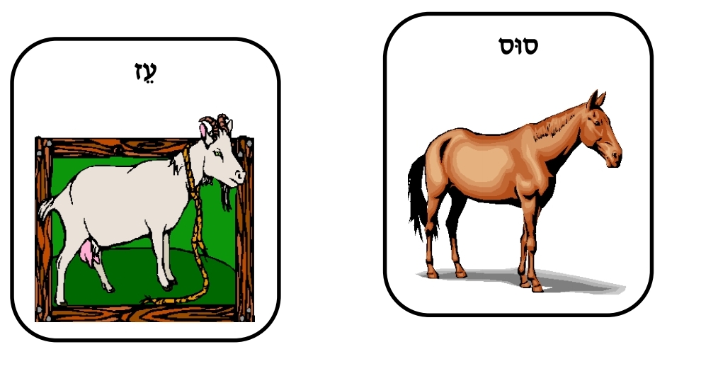 בעלי חיים by ahmad raya - Illustrated by Raya Ahmad - Ourboox.com