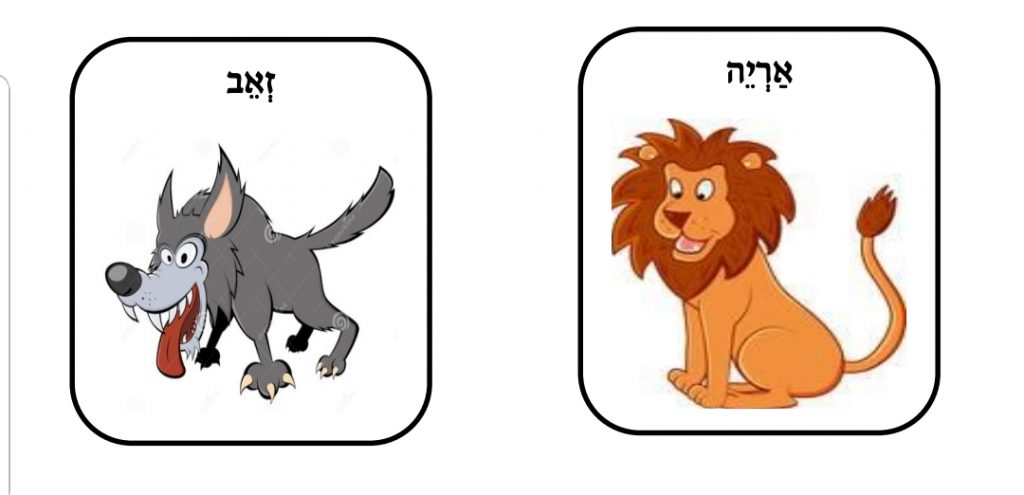 בעלי חיים by ahmad raya - Illustrated by Raya Ahmad - Ourboox.com