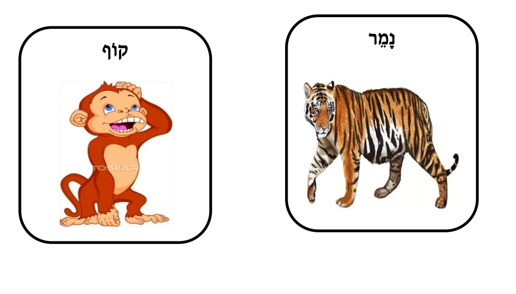 בעלי חיים by ahmad raya - Illustrated by Raya Ahmad - Ourboox.com