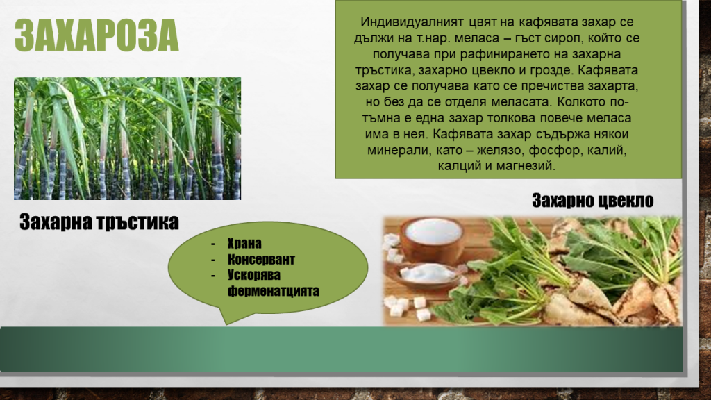 Дизахариди. Захароза by Veselina Gercheva - Ourboox.com