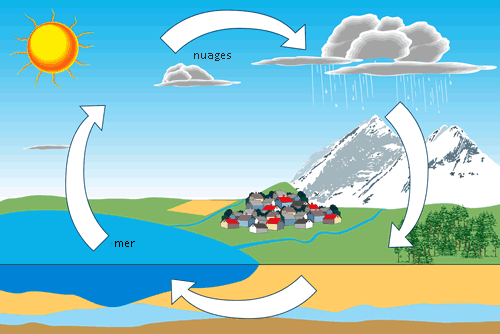 دورة المياه في الطبيعة by amani ahmad abu jama - Illustrated by amani ahmad - Ourboox.com