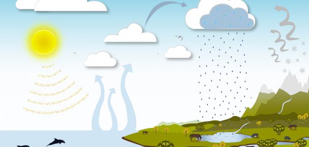 دورة المياه في الطبيعة by amani ahmad abu jama - Illustrated by amani ahmad - Ourboox.com