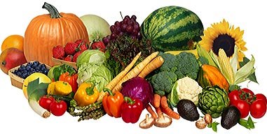 Значення рослин в житті людини by S.Tomuniak - Ourboox.com