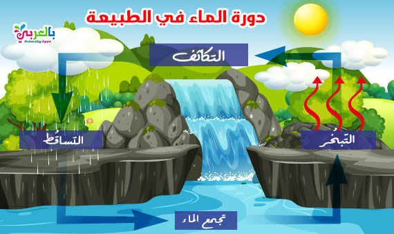 دورة المياه في الطبيعة by amani ahmad abu jama - Illustrated by amani ahmad - Ourboox.com