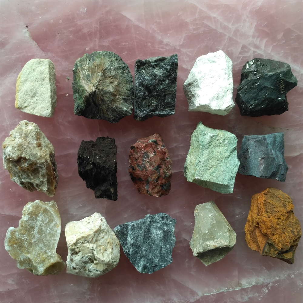 Значення рослин в житті людини by S.Tomuniak - Ourboox.com