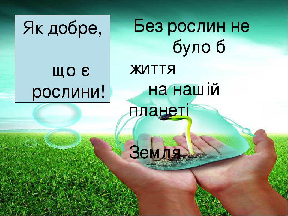 Значення рослин у житті людини by Angelina - Ourboox.com