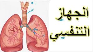 جهاز التنفس للخامس سهام ذباح by seham - Ourboox.com