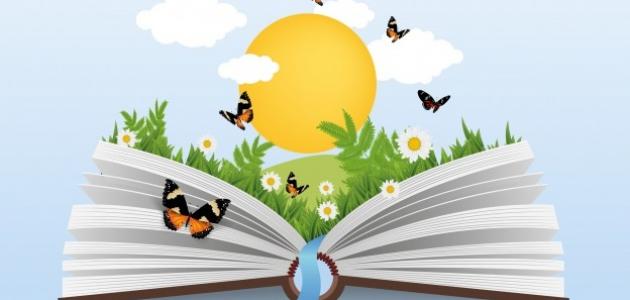 نص “السُّلحفاةُ الثَّرثارَةُ” by hanaa mahameed - Illustrated by المعلمة:هناء محاميد - Ourboox.com