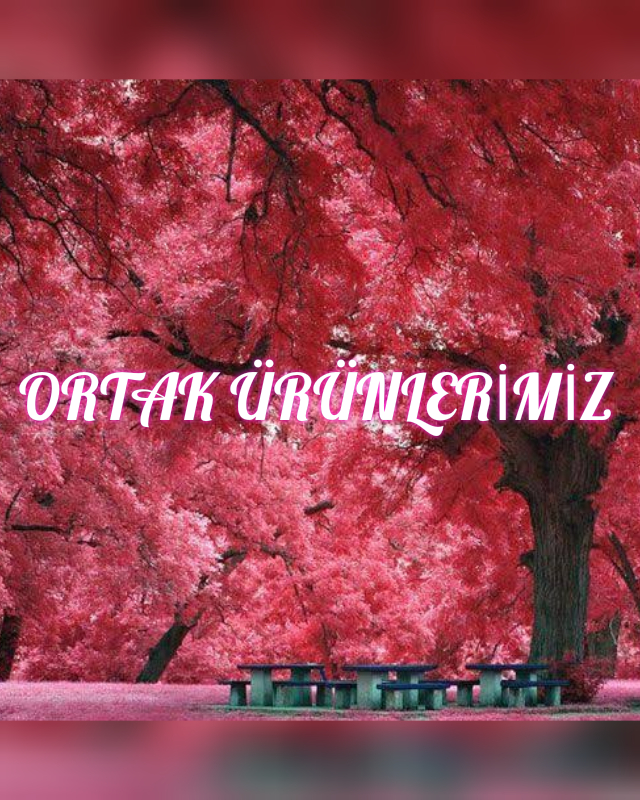 TOPLUYORUM ATMIYORUM HAYAL GÜCÜMLE HER ŞEYİ SANATA DÖNÜŞTÜRÜYORUM by Hatice ERDEM - Ourboox.com