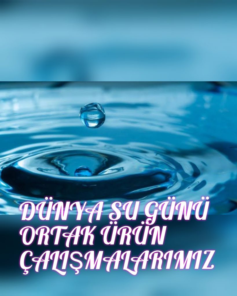 TOPLUYORUM ATMIYORUM HAYAL GÜCÜMLE HER ŞEYİ SANATA DÖNÜŞTÜRÜYORUM by Hatice ERDEM - Ourboox.com