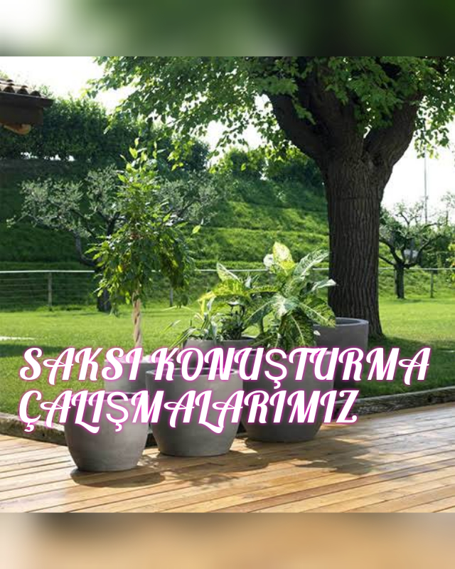 TOPLUYORUM ATMIYORUM HAYAL GÜCÜMLE HER ŞEYİ SANATA DÖNÜŞTÜRÜYORUM by Hatice ERDEM - Ourboox.com