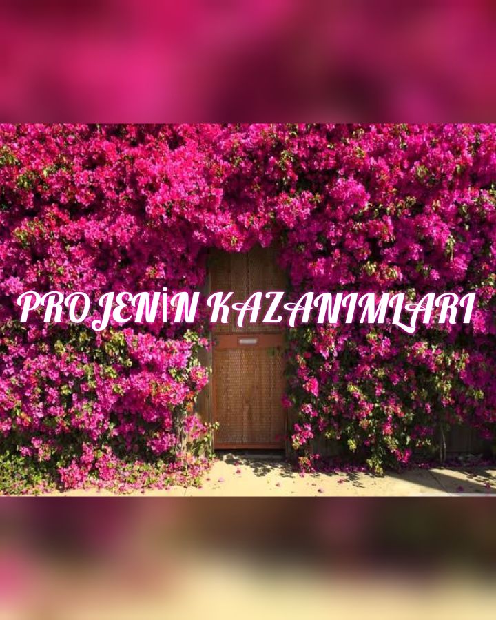 TOPLUYORUM ATMIYORUM HAYAL GÜCÜMLE HER ŞEYİ SANATA DÖNÜŞTÜRÜYORUM by Hatice ERDEM - Ourboox.com