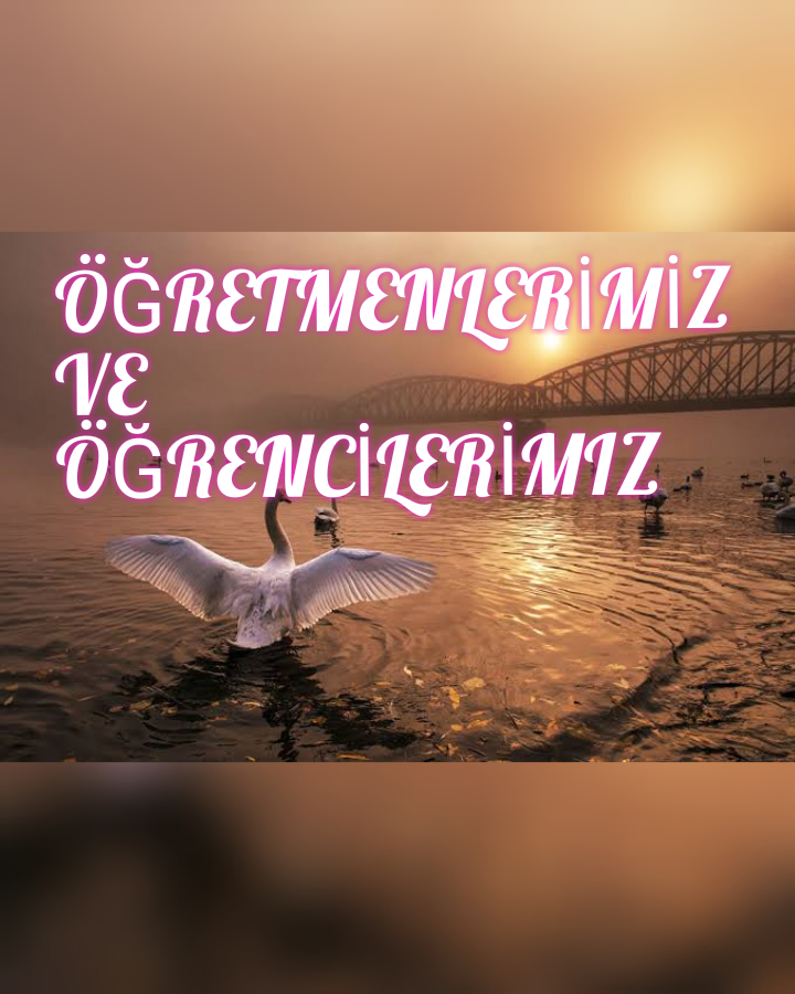 TOPLUYORUM ATMIYORUM HAYAL GÜCÜMLE HER ŞEYİ SANATA DÖNÜŞTÜRÜYORUM by Hatice ERDEM - Ourboox.com