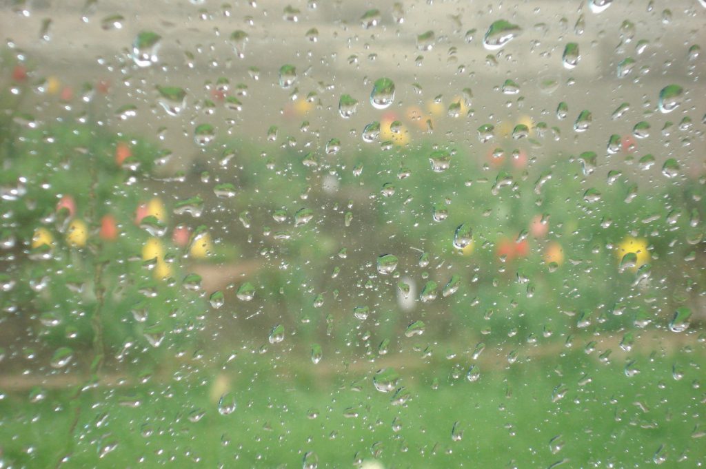 מדמיון למציאות “המדריך “ by Galya Sidelsky - Ourboox.com