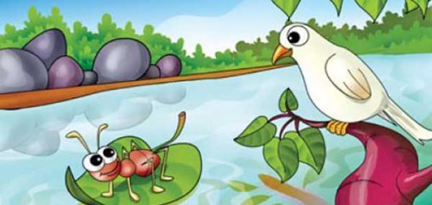 قصة ” الحمامة والنملة” by Najwa Amara - Illustrated by المربية: نجوى أمارة - Ourboox.com