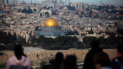 الوطن by maysam kayal - Illustrated by ميسم كيال - Ourboox.com