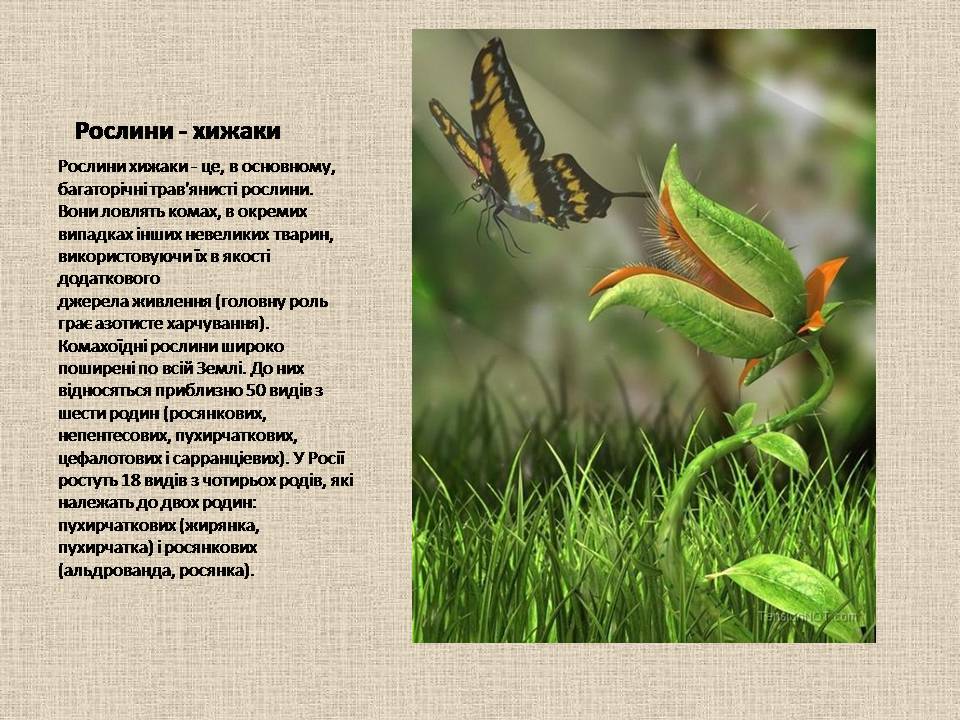 Рослини-хижаки by Angelina - Ourboox.com