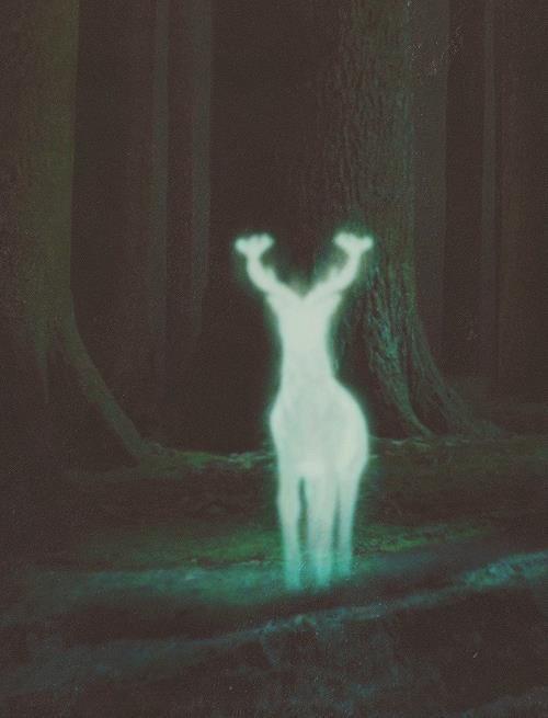 Book report- Harry Potter and the prisoner of Azkaban by Carmel Raz Haim - Illustrated by Carmel Raz Haim - Ourboox.com