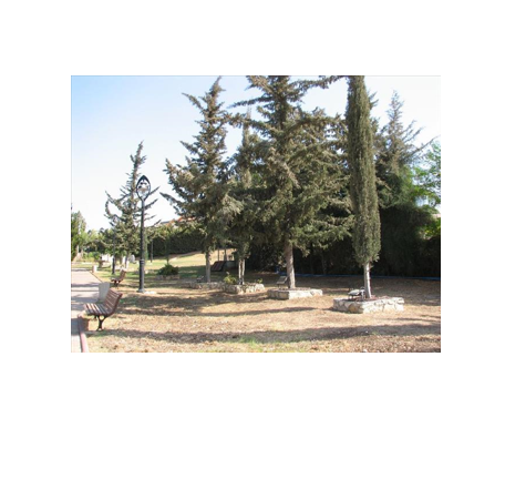 ליאור איטח ז”ל by shirel and raz - Ourboox.com