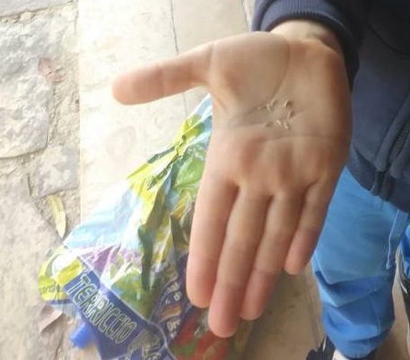 IL FANTASTICO MONDO DEI FIORI by alessandra giuliodori - Ourboox.com