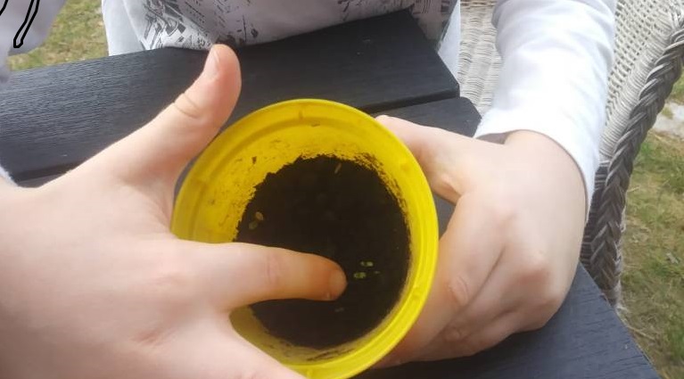 IL FANTASTICO MONDO DEI FIORI by alessandra giuliodori - Ourboox.com