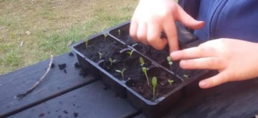 IL FANTASTICO MONDO DEI FIORI by alessandra giuliodori - Ourboox.com