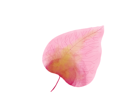 מדמיון למציאות “המדריך “ by Galya Sidelsky - Ourboox.com